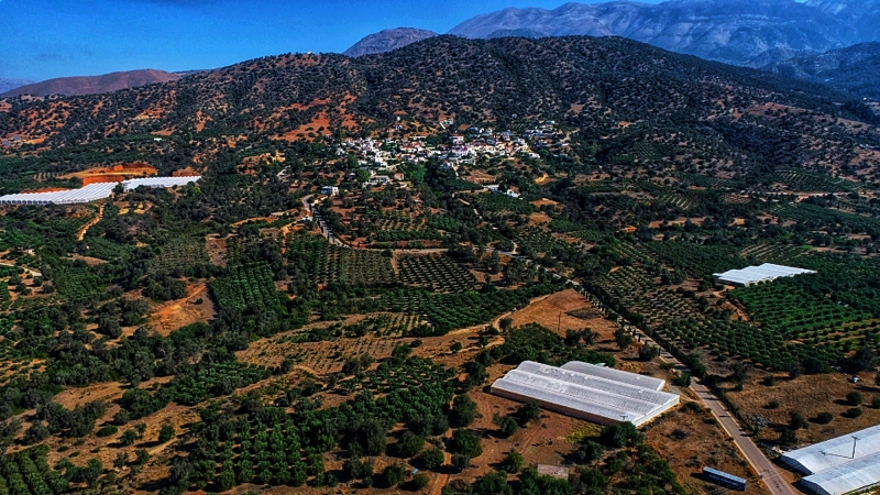 Κλήμα Ηρακλείου