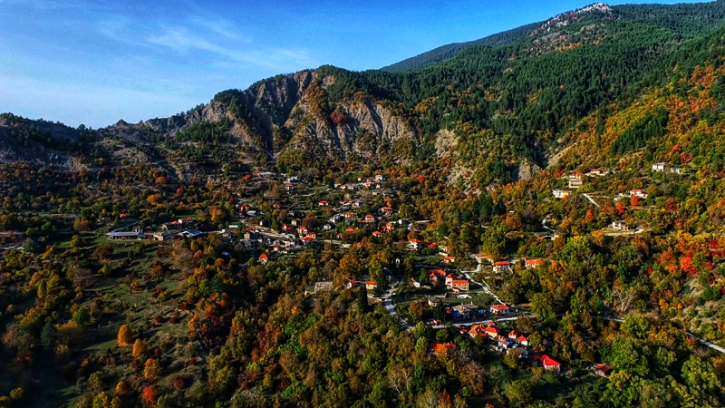 Λάιστα Ζαγορίου